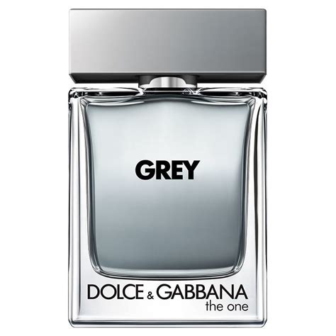 The One Grey by Dolce & Gabbana 